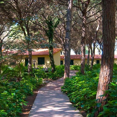Horse Country Resort Congress & Spa - Hotel Ribot Arborea Εξωτερικό φωτογραφία