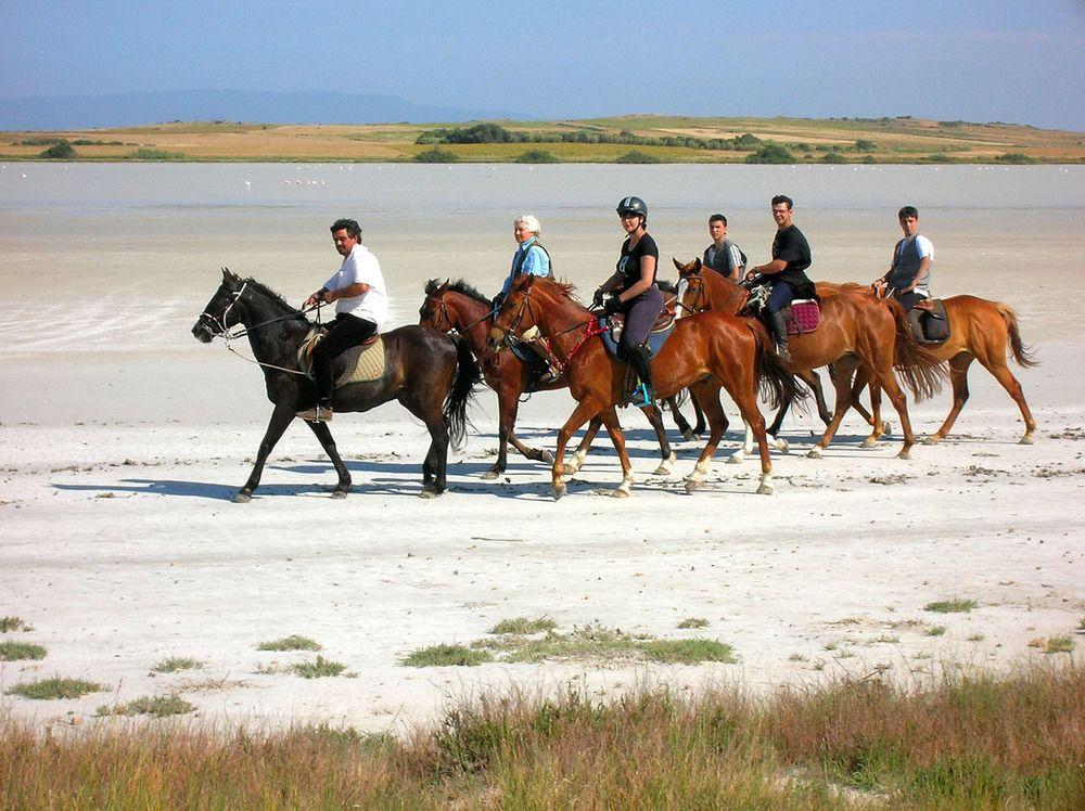 Horse Country Resort Congress & Spa - Hotel Ribot Arborea Εξωτερικό φωτογραφία