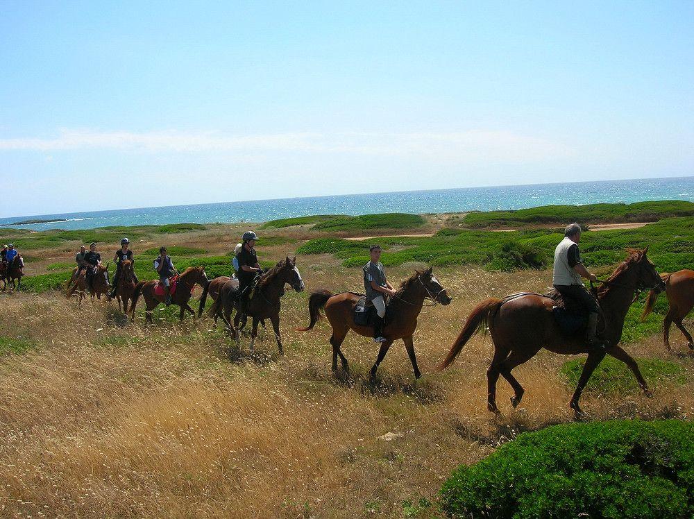 Horse Country Resort Congress & Spa - Hotel Ribot Arborea Εξωτερικό φωτογραφία
