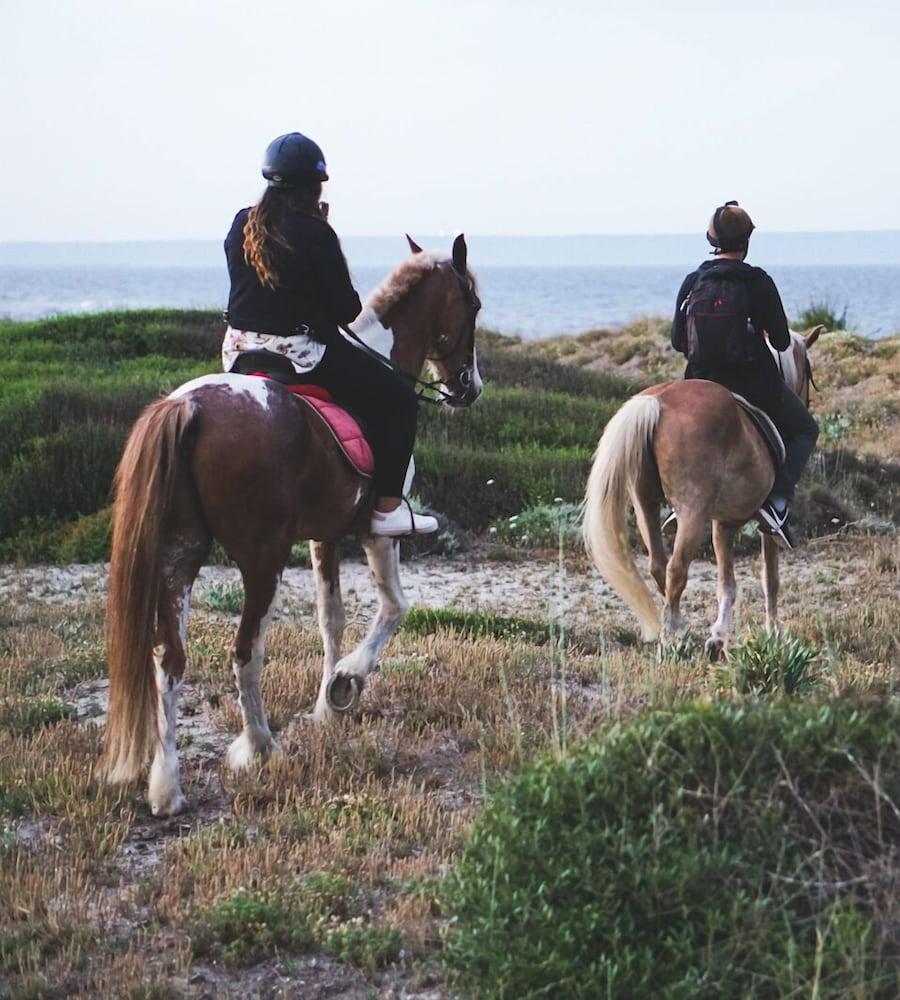 Horse Country Resort Congress & Spa - Hotel Ribot Arborea Εξωτερικό φωτογραφία
