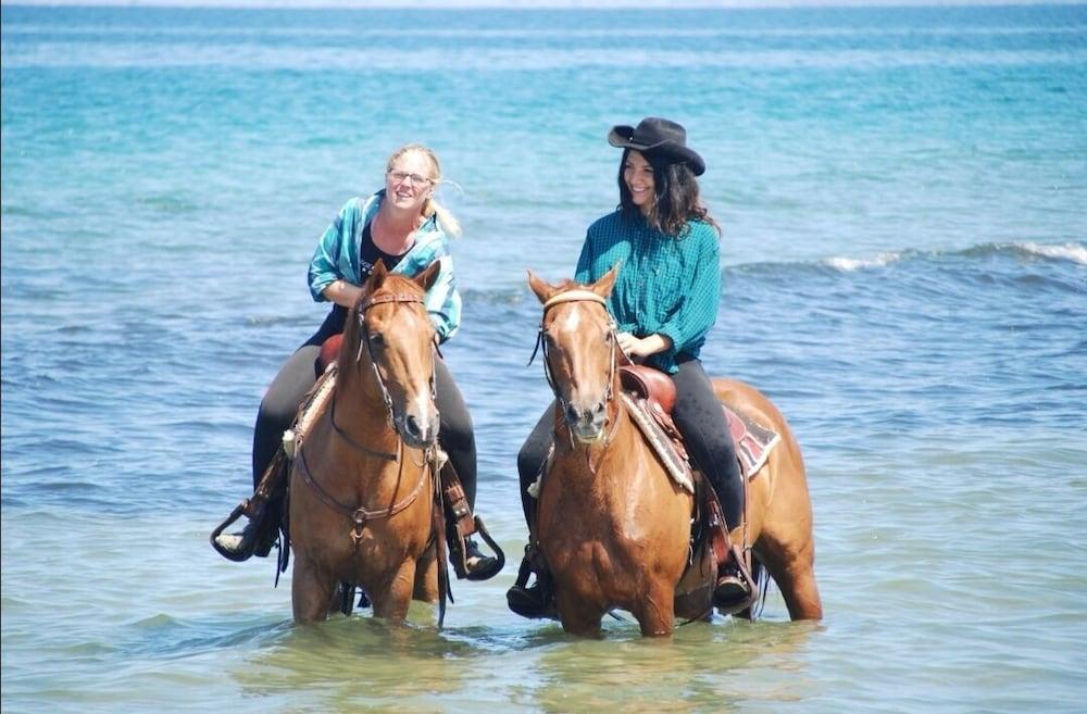 Horse Country Resort Congress & Spa - Hotel Ribot Arborea Εξωτερικό φωτογραφία