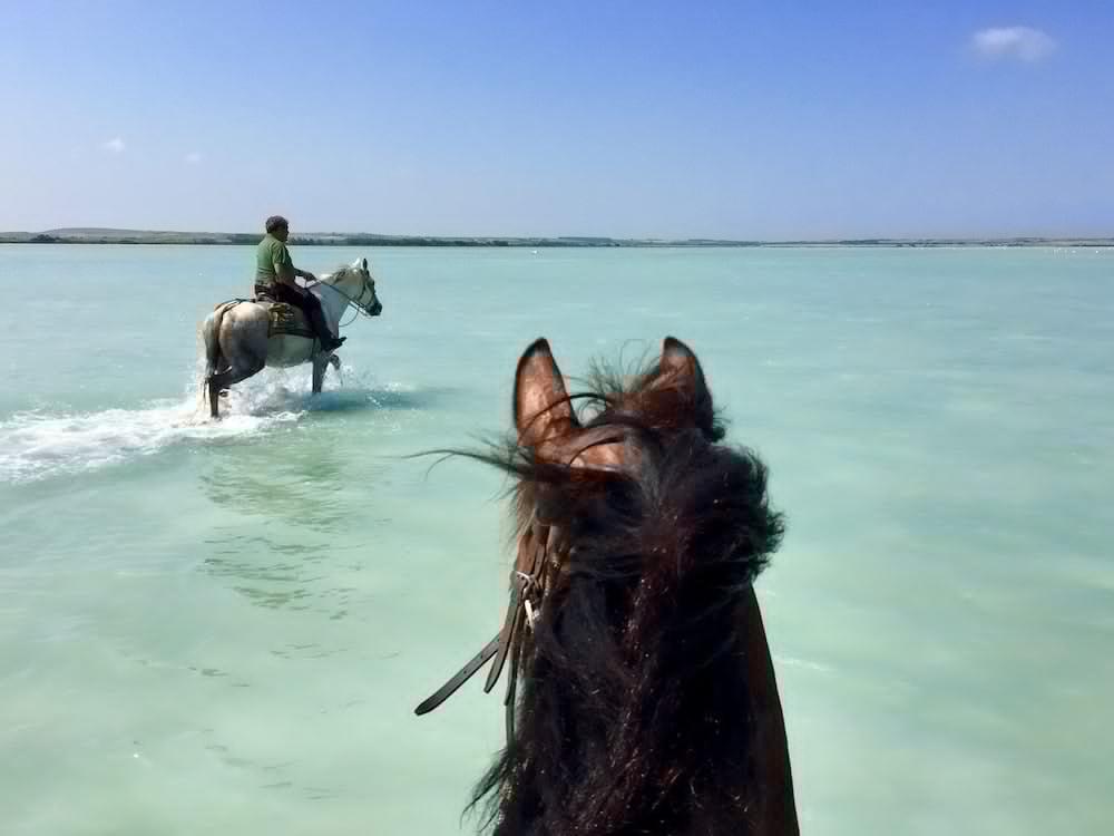 Horse Country Resort Congress & Spa - Hotel Ribot Arborea Εξωτερικό φωτογραφία