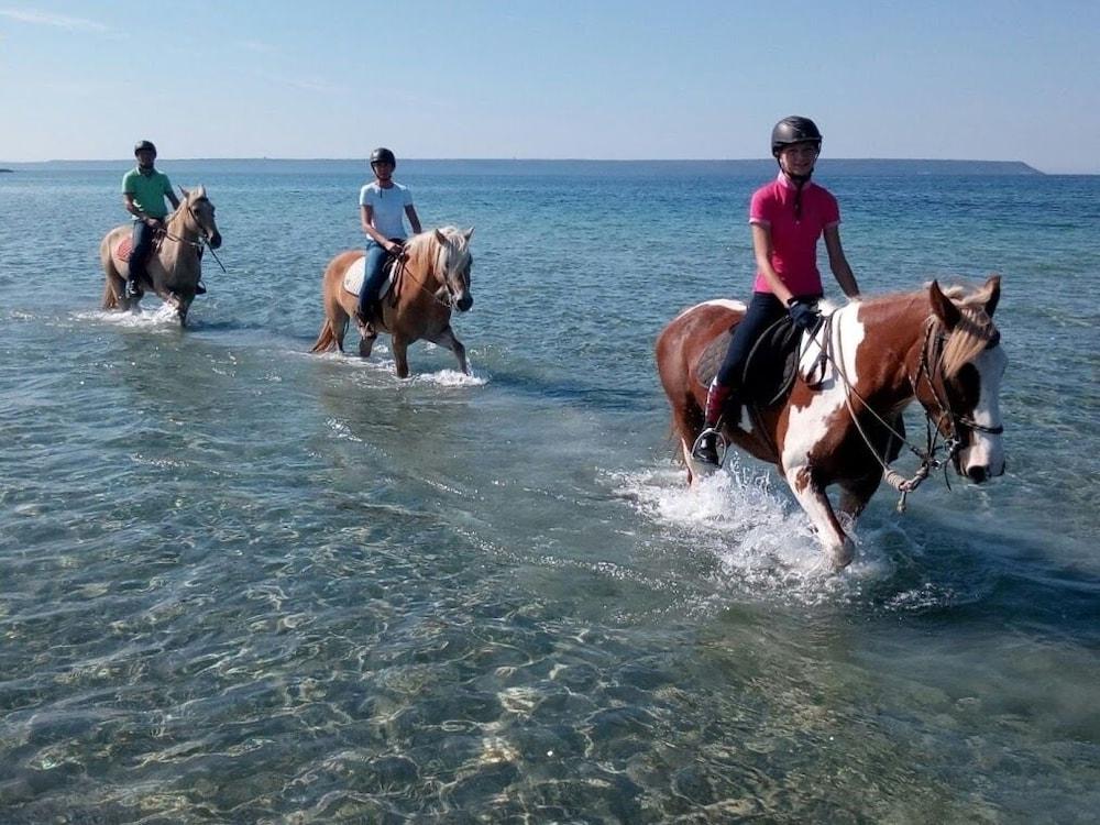 Horse Country Resort Congress & Spa - Hotel Ribot Arborea Εξωτερικό φωτογραφία