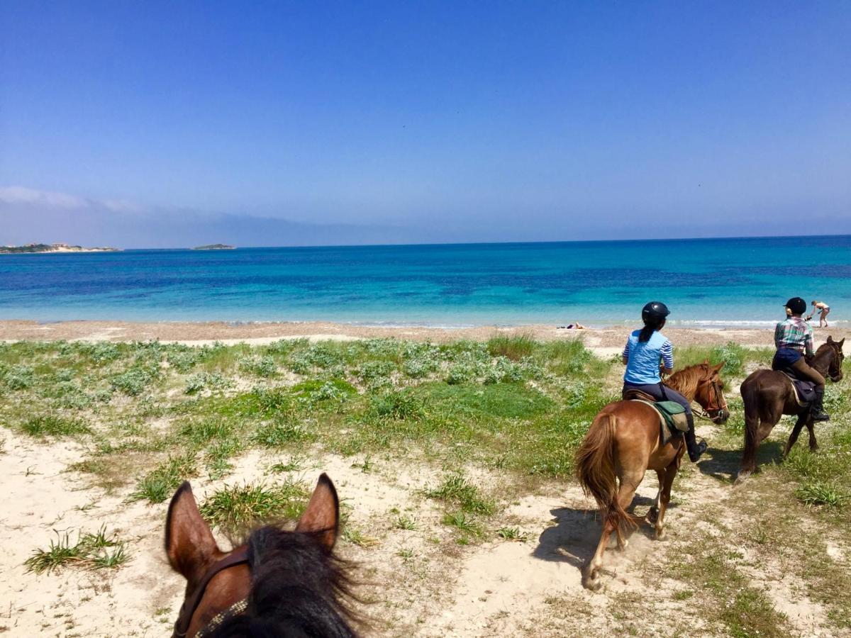 Horse Country Resort Congress & Spa - Hotel Ribot Arborea Εξωτερικό φωτογραφία