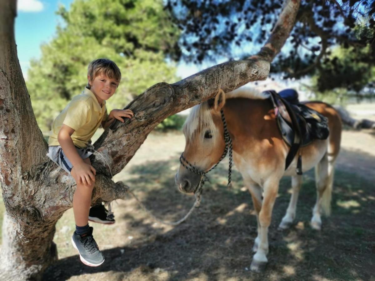 Horse Country Resort Congress & Spa - Hotel Ribot Arborea Εξωτερικό φωτογραφία